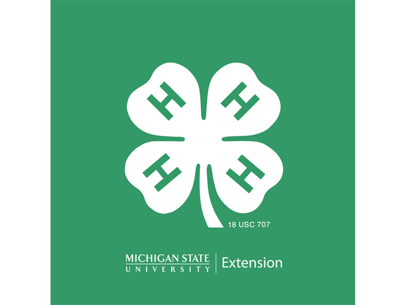 Logo for 2024 Lenawee County 4-H Fair