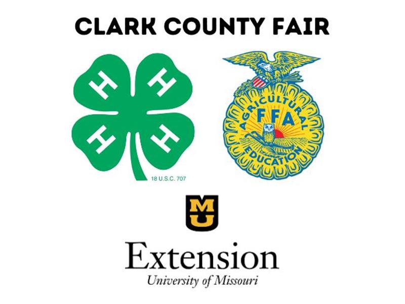 Fair Logo