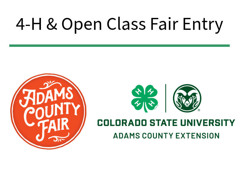 Fair Logo